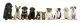 Pet Friendly Sites
