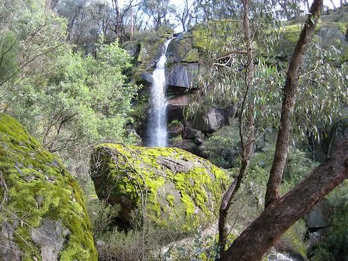 Cotton Tree Campground