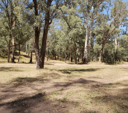 Davons Flat Camping Area