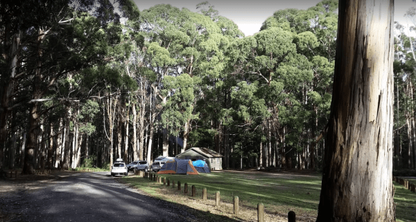 Ditchfield Camping Area