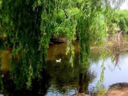 Dunolly Caravan Park