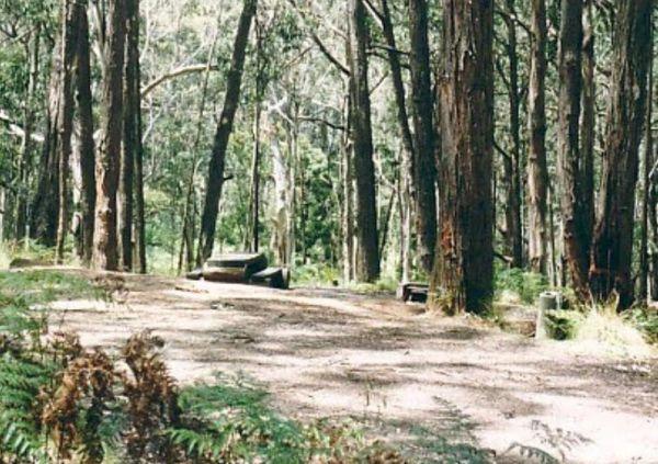Ferntree Camping Ground
