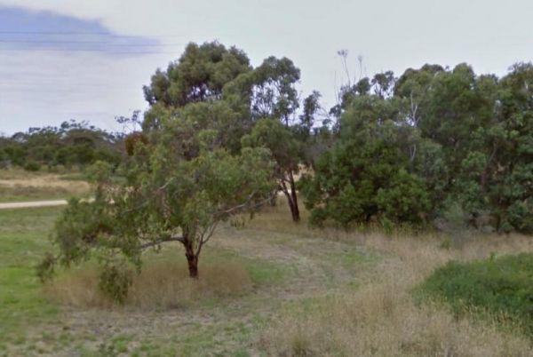 Fitzroy River Streamside Reserve Rest Area