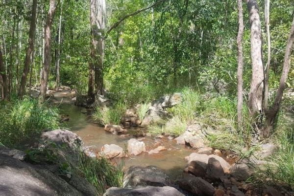 Robin Falls Rest Area