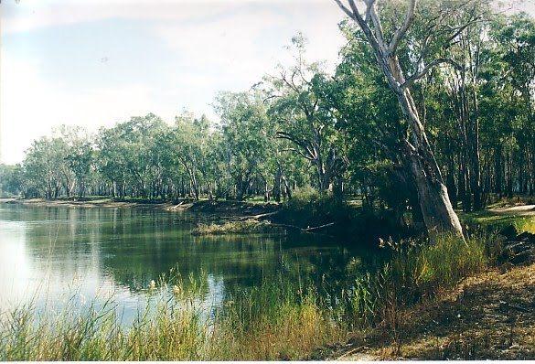 Granthams Bend Camping Area
