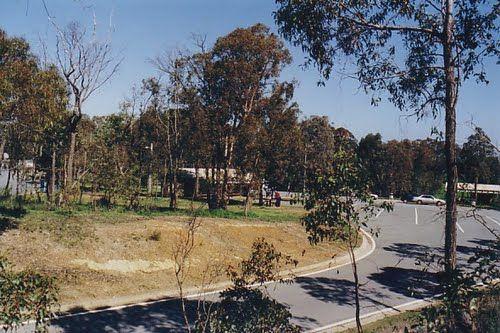 Grass Trees Rest Area Northbound