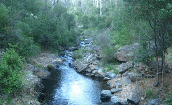 Jones Camping Area