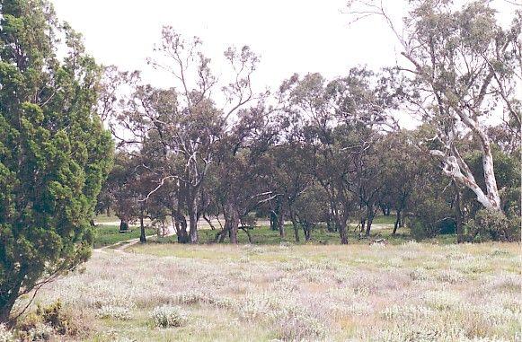 Lake Albacutya Regional Park Camping Area