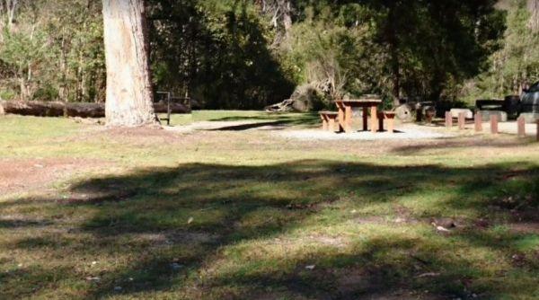 Log Crossing Picnic Area