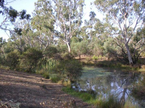 Major Creek Reserve Camping Area