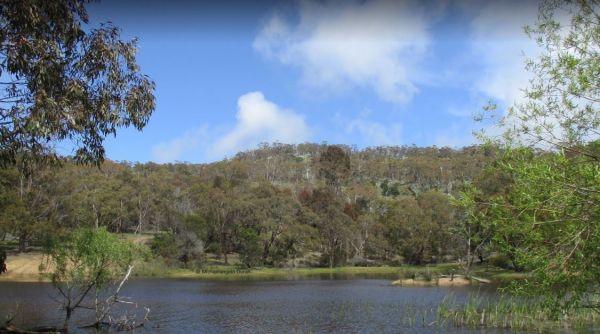 Mount Beckworth Scenic Reserve - The Dam - Camping Area