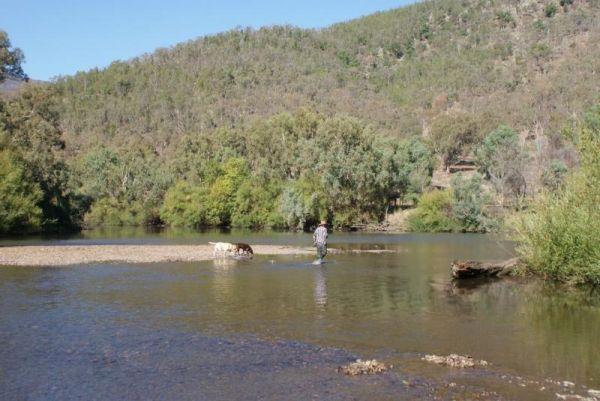 Neils Reserve Camping Area