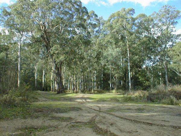 Running Creek Camping Area