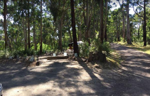 Sharps Track Camping Area