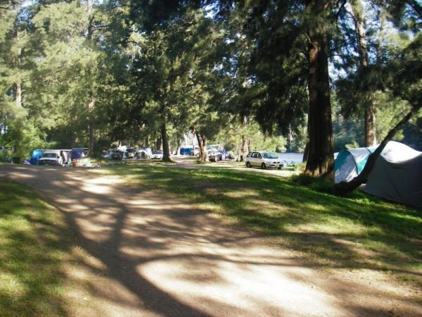 Bendemeer Park Rest Area