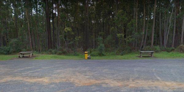 Tamboon Rest Area - East of Cann River