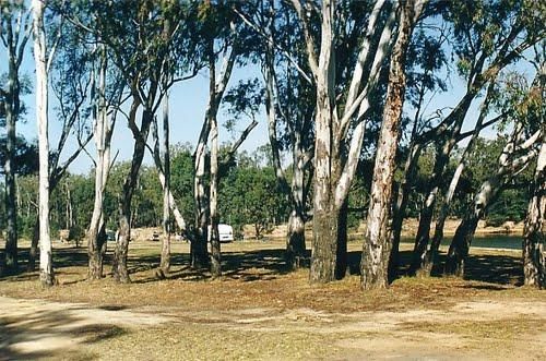 Bourkes Bend State Forest Camping Area