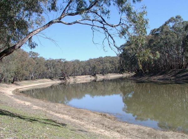 Vinifera State Forest Camping Area