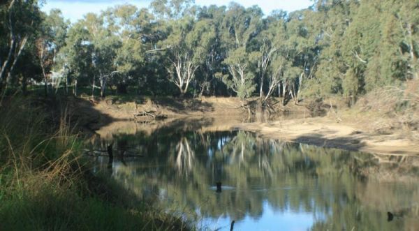 Bunyip Hole Reserve Camping Area