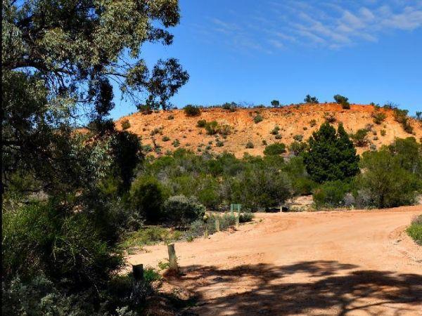 Murtho Forest Landing Campground