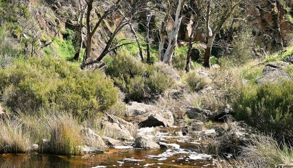 Saunders Gorge Sanctuary - Permanently Closed