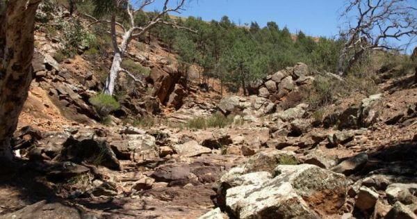 Warren Gorge Camping Area