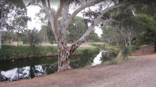 Whitecliff Reserve Camping Area