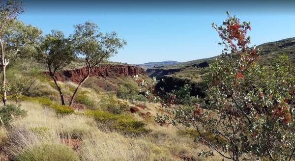 Albert Tognolini Rest Area
