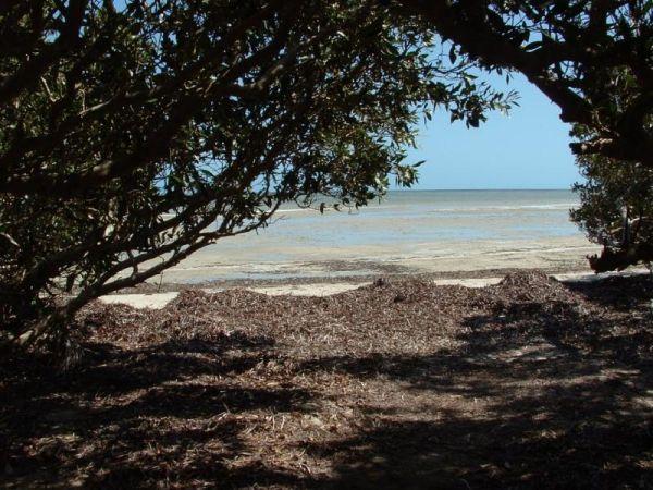 Bush Bay Camping Area