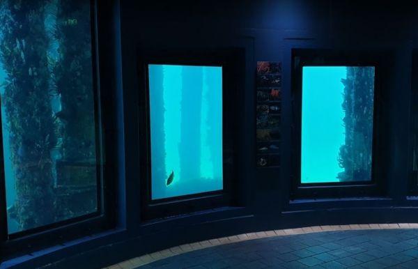 Busselton Underwater Observatory