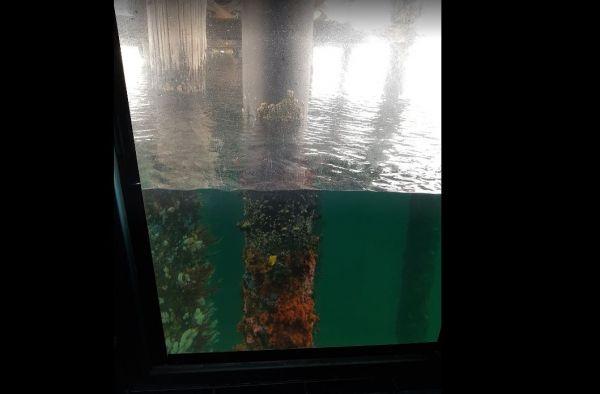 Busselton Underwater Observatory