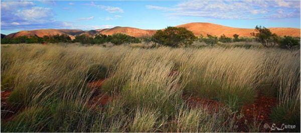 Des Streckfuss Rest Area 24 Hour Limit