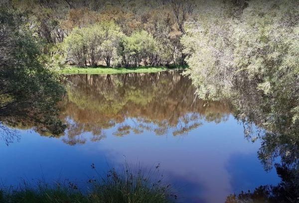 Eadine Springs Rest Area