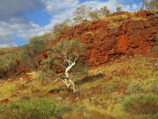 Mt Robinson Rest Area