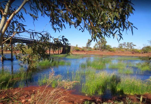 Robe River Rest Area 24 Hour Limit