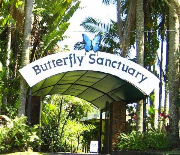 Australian Butterfly Sanctuary