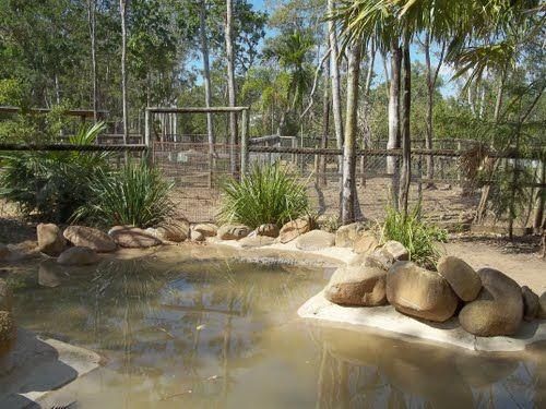 Billabong Sanctuary