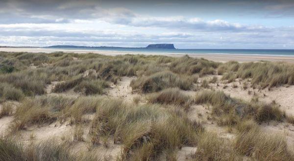 Black River Camping Area