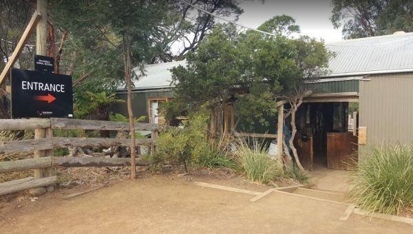 Bonorong Wildlife Sanctuary