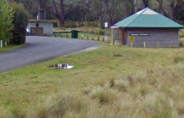 Fossey River Rest Area