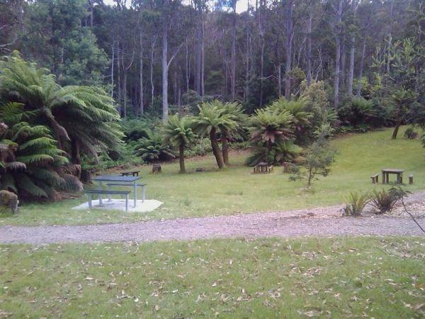 Leven Canyon Reserve Rest Area