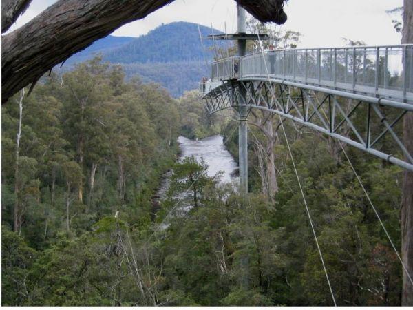 Tahune Adventures AirWalk