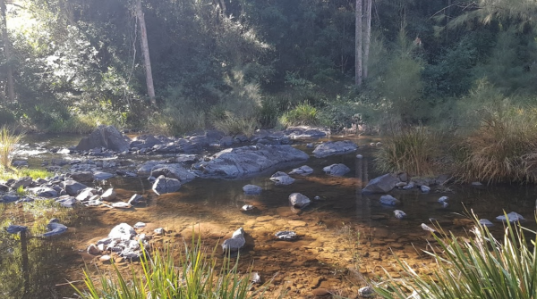 Gloryvale Reserve Camping Area