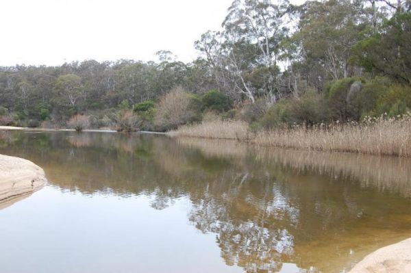 Stewarts Crossing Camping Area