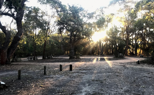 Banksia Bluff Campground