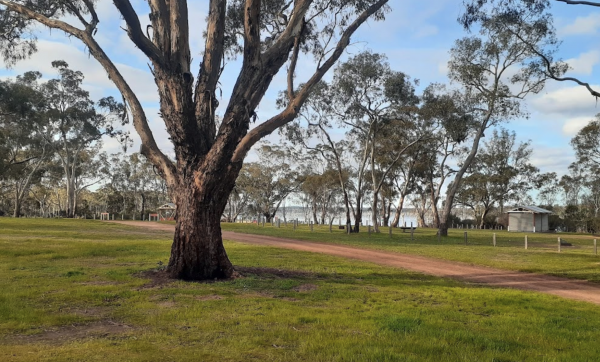 Glendinning Campground