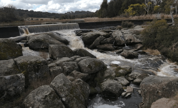 Polly McQuinn Reserve
