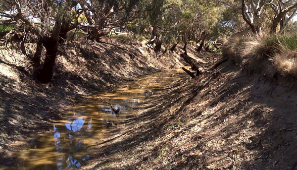 Ripley Reserve Rest Area