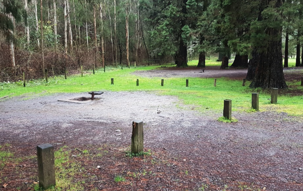 Stevenson Falls Scenic Reserve Rest Area