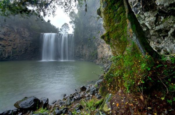 Dangar Falls Picnic Area